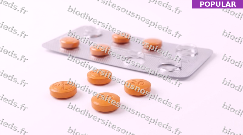 Achat Levitra 20mg — en France — (Vardenafil) — satisfaction garantie