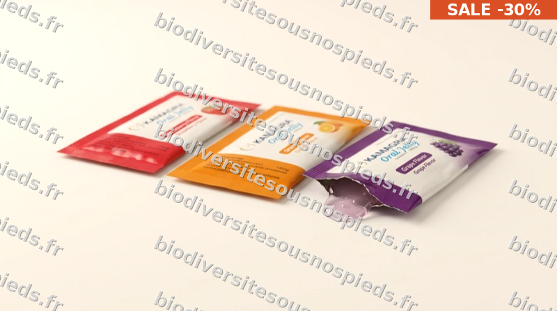 Commandez Kamagra Oral Jelly 100mg — à Marseille — (Sildenafil Citrate) — livraison rapide et discrète